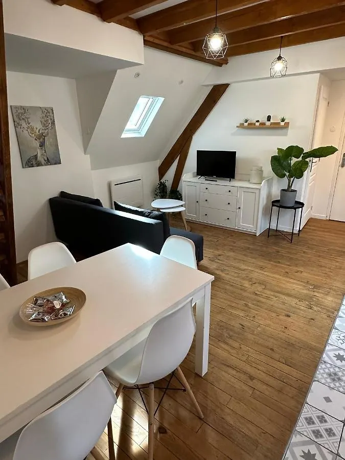 Appartamento Superbe Appartement Mansarde Avec Mezzanine - Proche Centre Ville, Thermes, Aquensis Bagnères-de-Bigorre Francia