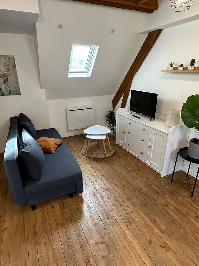 Appartamento Superbe Appartement Mansarde Avec Mezzanine - Proche Centre Ville, Thermes, Aquensis Bagnères-de-Bigorre